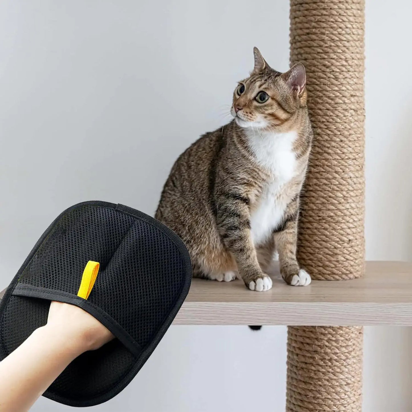 PurrfectClean